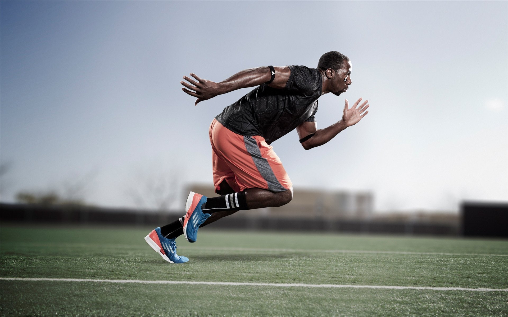 羽翼与引擎，当老鹰的利爪遇见F1的闪电