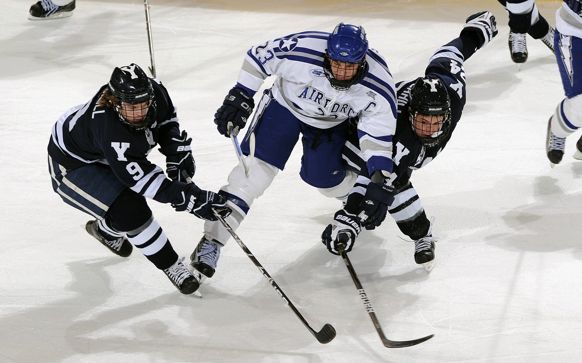 文班亚马压制级发挥，步行者终结国王连胜势头