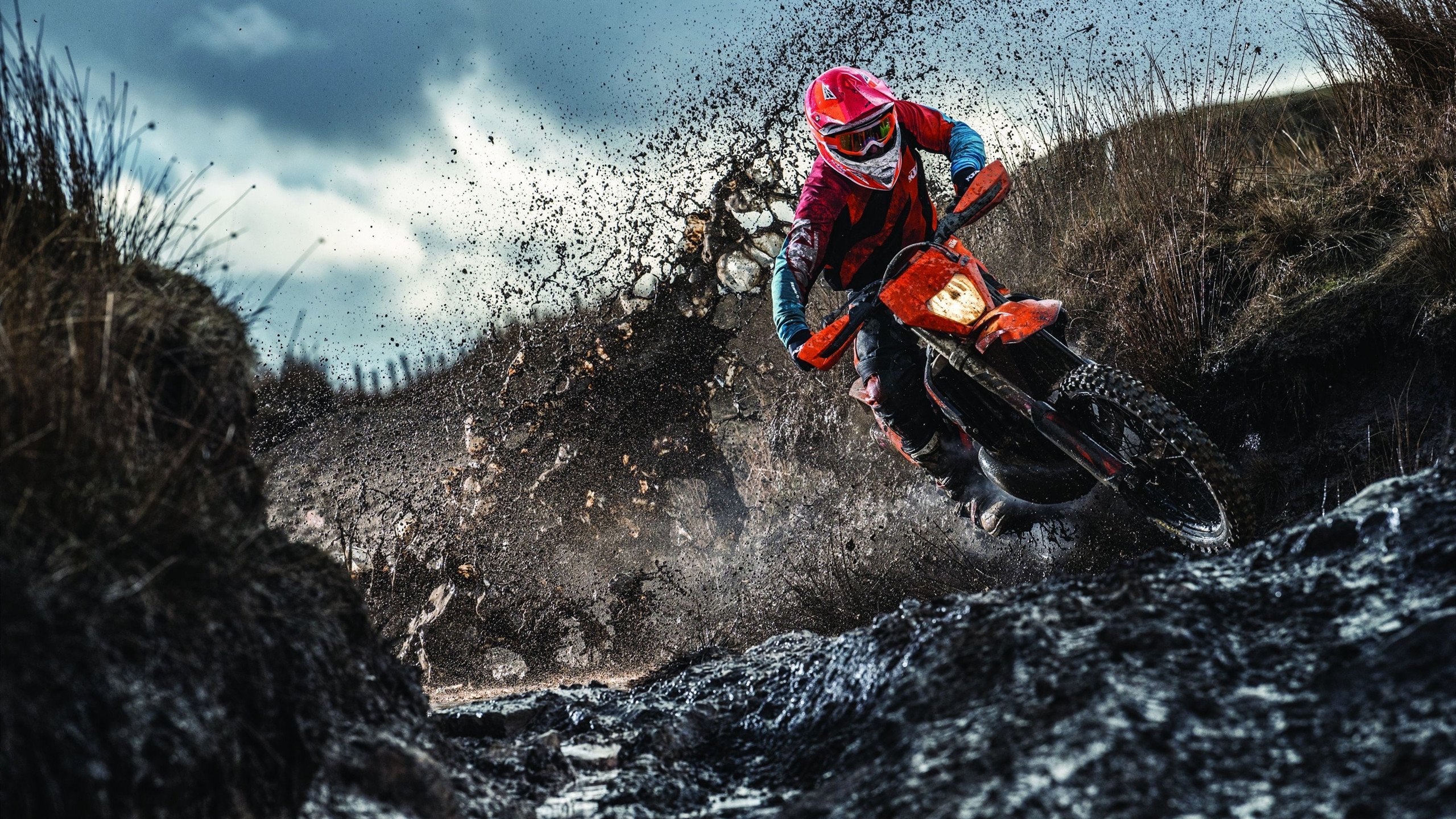 从盐湖城到马尼拉,当逆转基因跨越赛场,布克在世界杯舞台完成终极进化