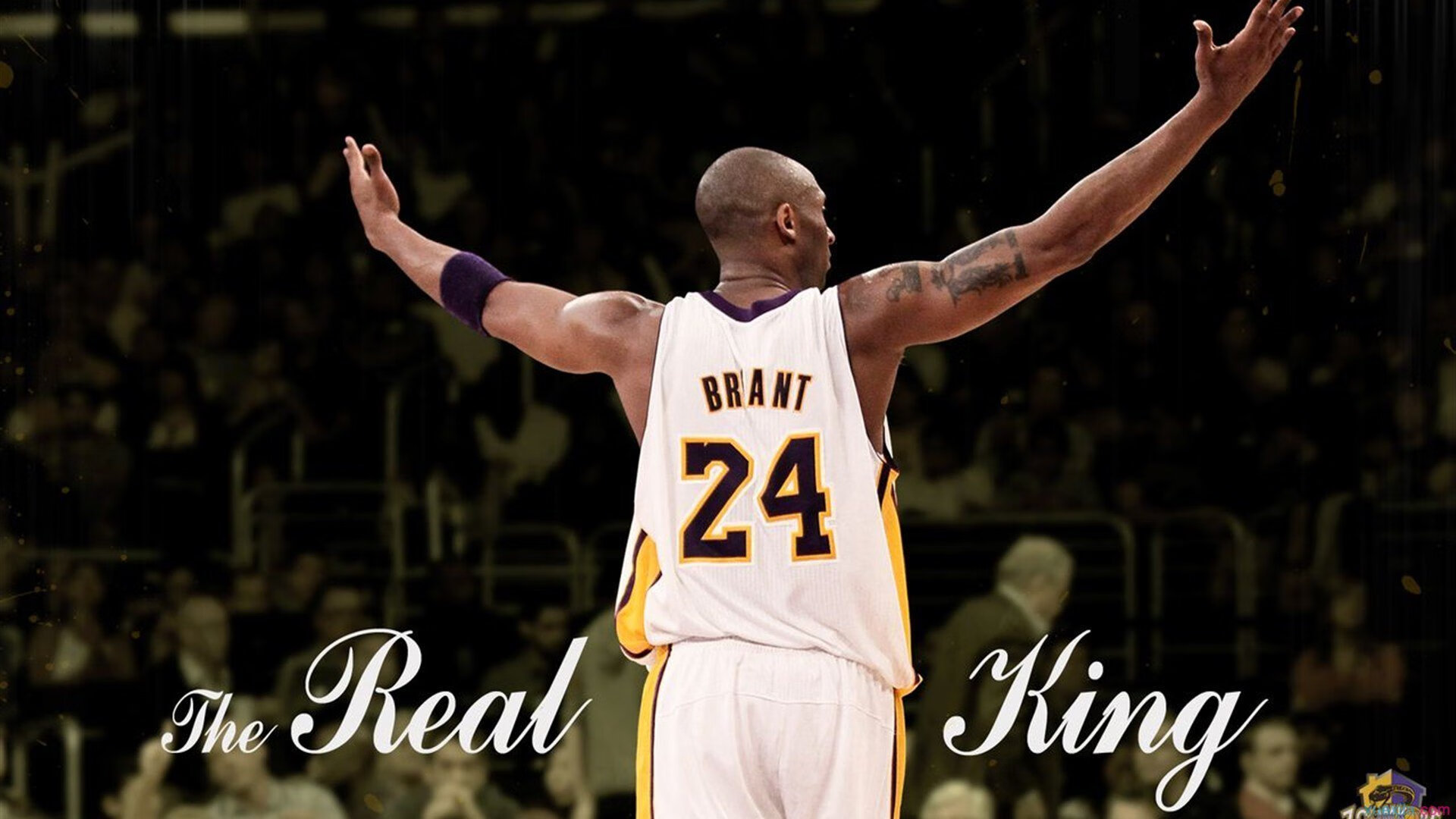 赛道上的毫厘之争，诺里斯统治全场，迈凯伦惊险击败哈斯